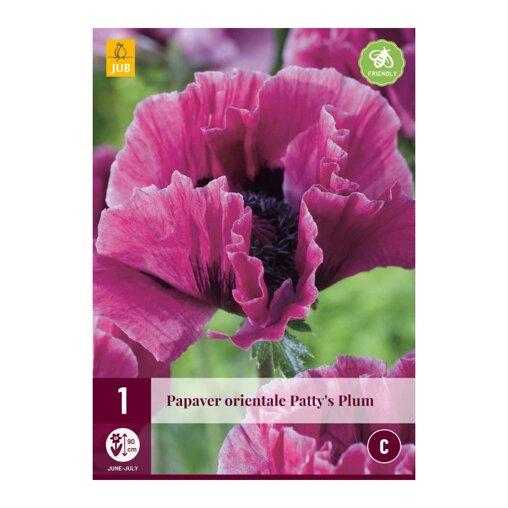 Papaverbol Orientale Patty's Plum (zak van 1 stuk)